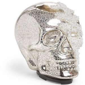 HOLIDAY LANE Halloween Crackle Glass Skull LED Light-Up Decoration